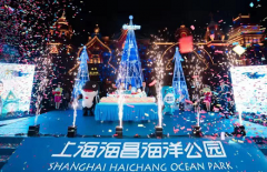 与海狂欢，1探“鲸”奇！ 上海海昌海洋公园开园一周年啦！