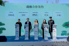 /news/202511/mation2004.html